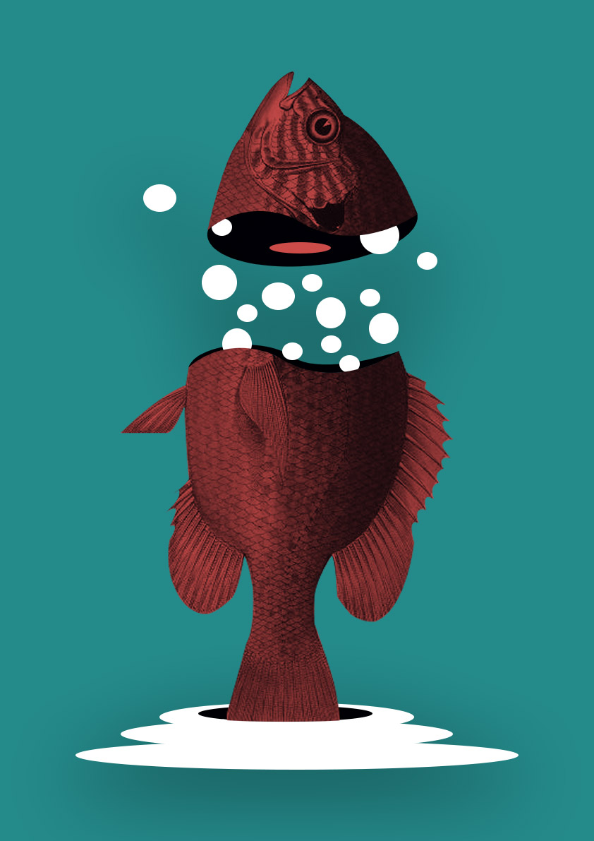 diseño cartel pez ilustración polución